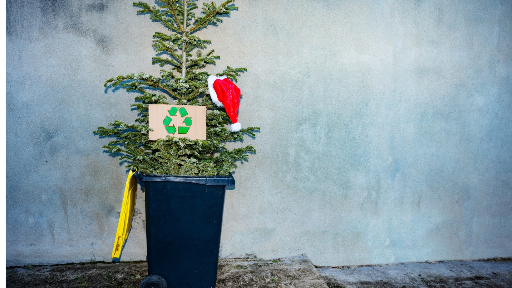 Cork City Council Christmas Tree Recycling Drop Off Points Cork